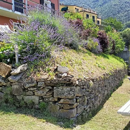 Orto Dei Rolli